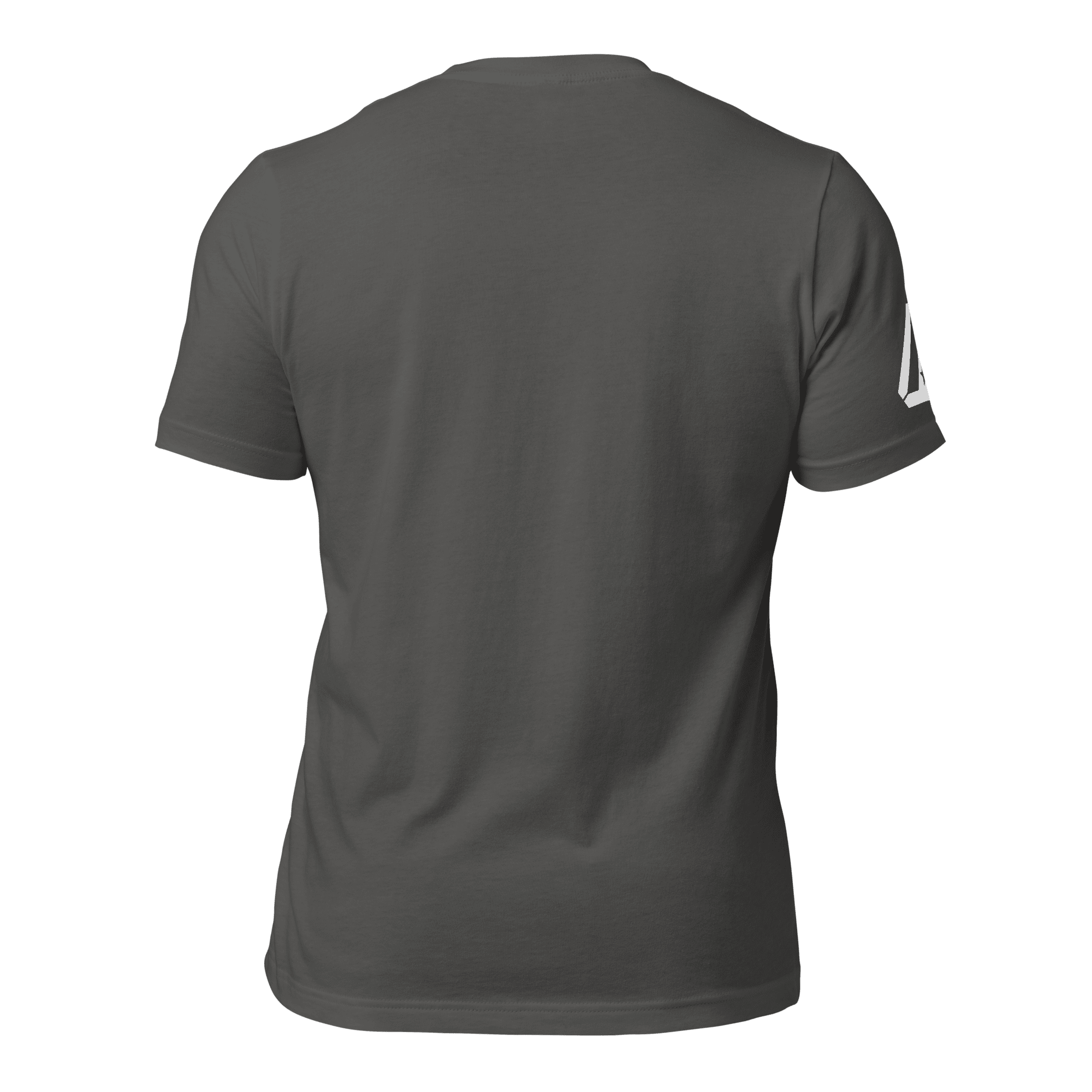 asphalt gray t-shirt, back view, featuring a DIA logo on the sleeve.